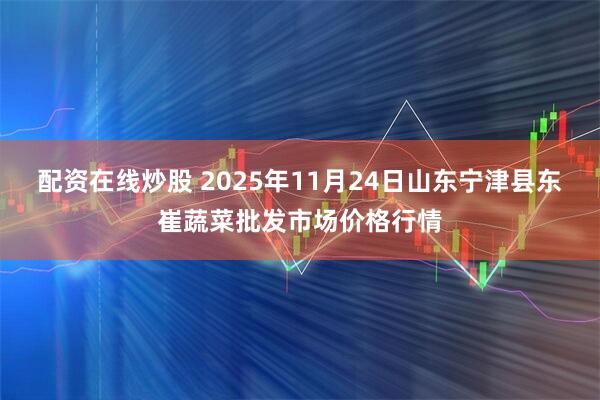 配资在线炒股 2025年11月24日山东宁津县东崔蔬菜批发市场价格行情